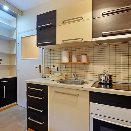 Skadarlija Discovery Centar Lux 公寓 *